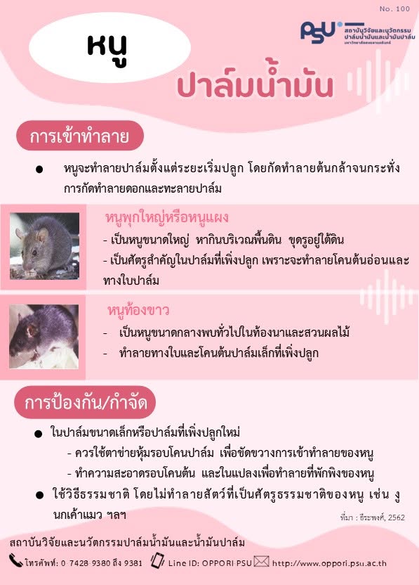 Gallery Item 1