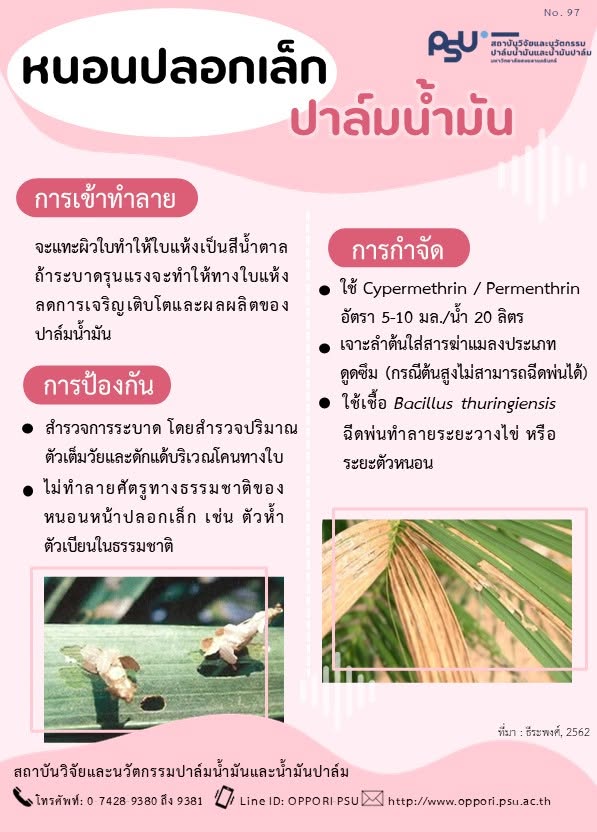 Gallery Item 1