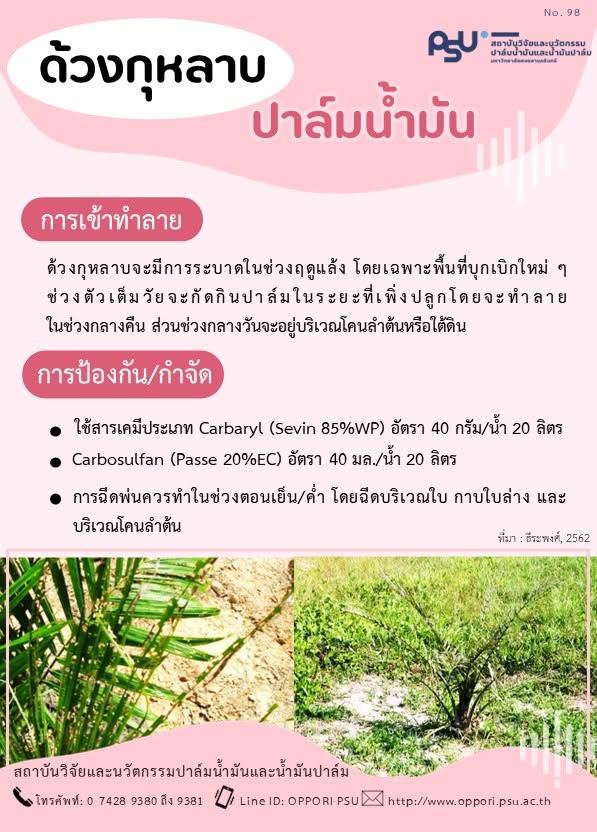 Gallery Item 1