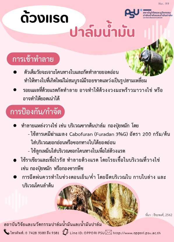 Gallery Item 1