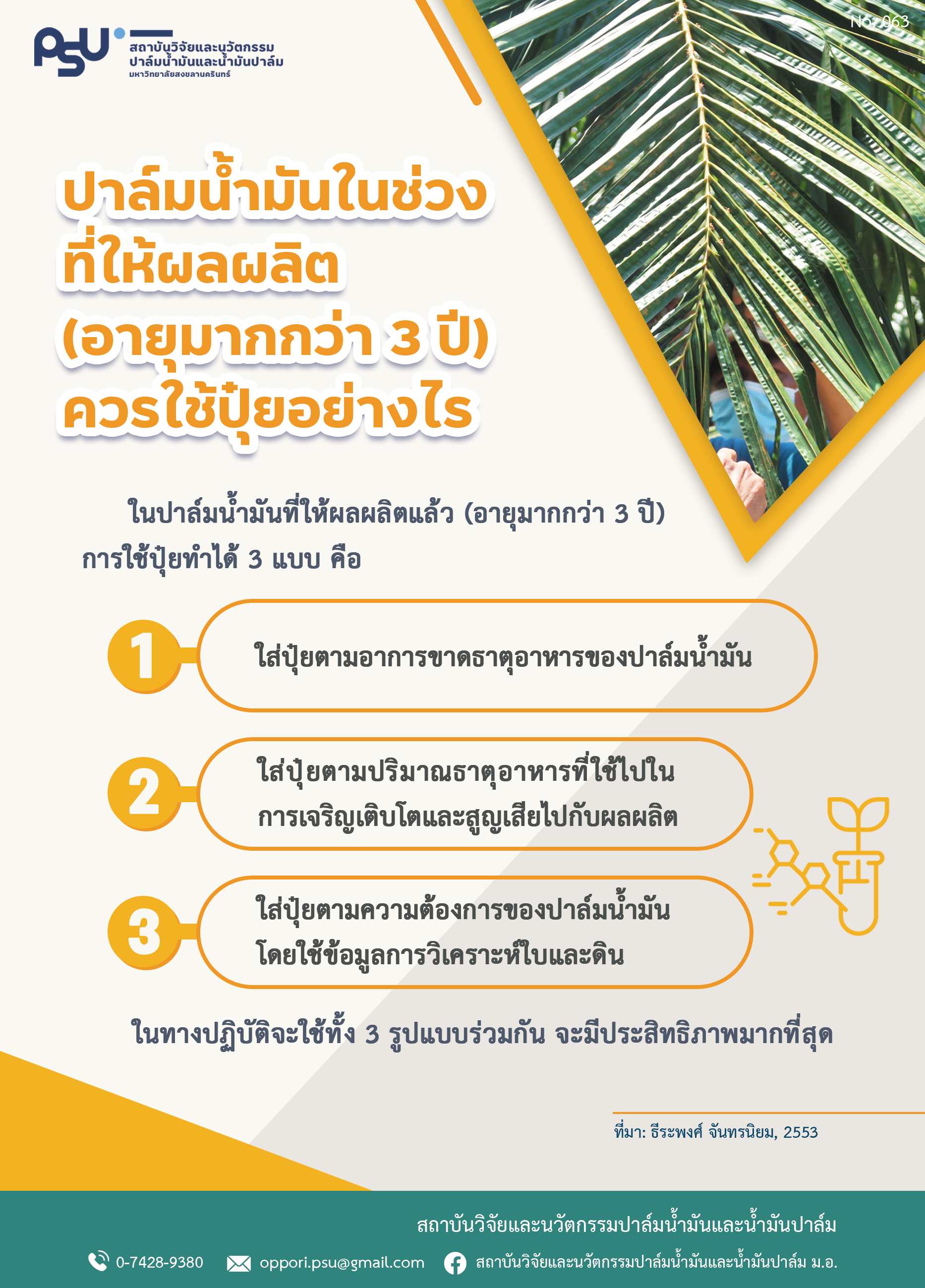 ถาม-ตอบปัญหาปาล์มน้ำมัน